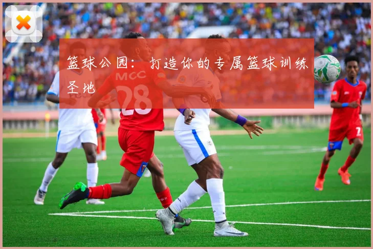 篮球公园：打造你的专属篮球训练圣地